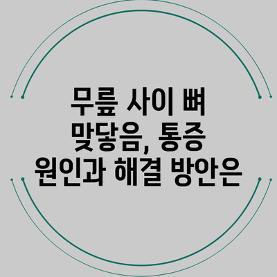 무릎 사이 뼈 맞닿음, 통증 원인과 해결 방안은?