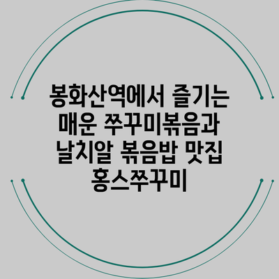 봉화산역에서 즐기는 매운 쭈꾸미볶음과 날치알 볶음밥 맛집 홍스쭈꾸미