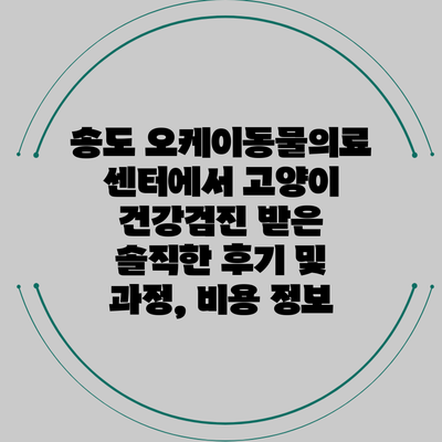 송도 오케이동물의료센터에서 고양이 건강검진 받은 솔직한 후기 및 과정, 비용 정보