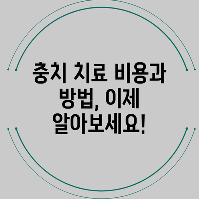 충치 치료 비용과 방법, 이제 알아보세요!