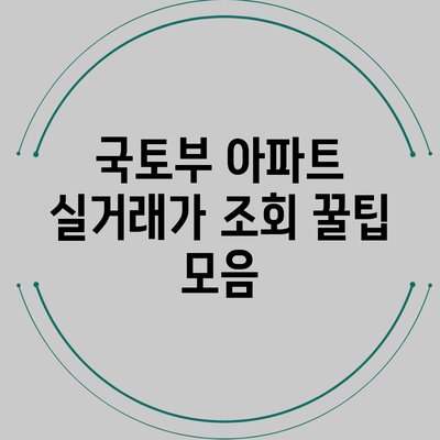 국토부 아파트 실거래가 조회 꿀팁 모음