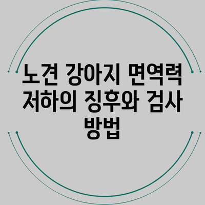 노견 강아지 면역력 저하의 징후와 검사 방법