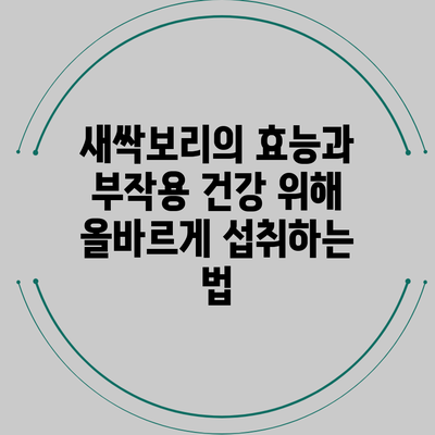 새싹보리의 효능과 부작용: 건강 위해 올바르게 섭취하는 법