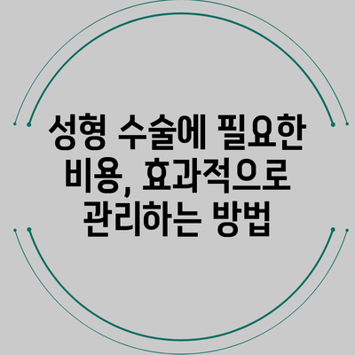 성형 수술에 필요한 비용, 효과적으로 관리하는 방법