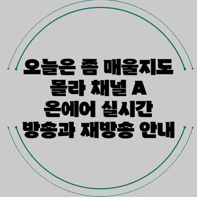 오늘은 좀 매울지도 몰라? 채널 A 온에어 실시간 방송과 재방송 안내