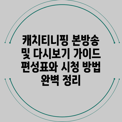 캐치티니핑 본방송 및 다시보기 가이드: 편성표와 시청 방법 완벽 정리