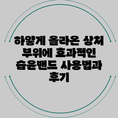 하얗게 올라온 상처 부위에 효과적인 습윤밴드 사용법과 후기
