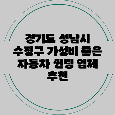 경기도 성남시 수정구 가성비 좋은 자동차 썬팅 업체 추천