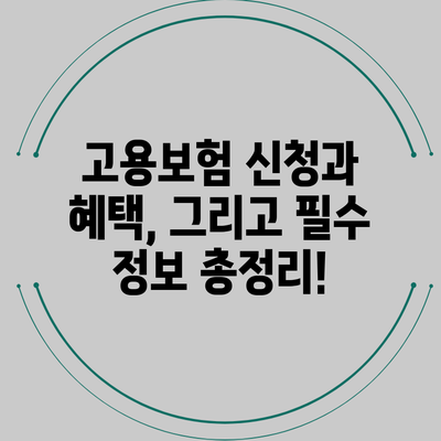 고용보험 신청과 혜택, 그리고 필수 정보 총정리!