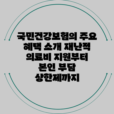 국민건강보험의 주요 혜택 소개: 재난적 의료비 지원부터 본인 부담 상한제까지