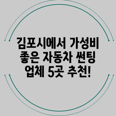 김포시에서 가성비 좋은 자동차 썬팅 업체 5곳 추천!