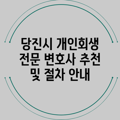 당진시 개인회생 전문 변호사 추천 및 절차 안내