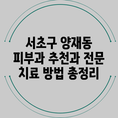 서초구 양재동 피부과 추천과 전문 치료 방법 총정리
