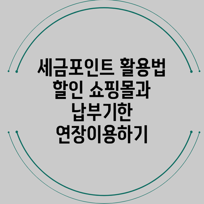 세금포인트 활용법: 할인 쇼핑몰과 납부기한 연장이용하기