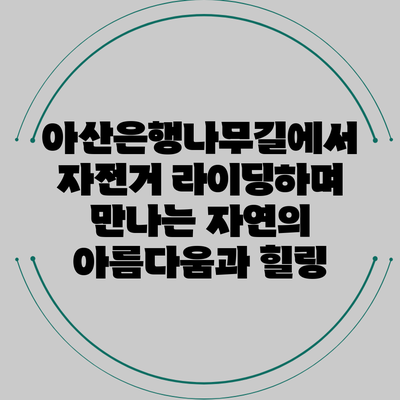 아산은행나무길에서 자전거 라이딩하며 만나는 자연의 아름다움과 힐링