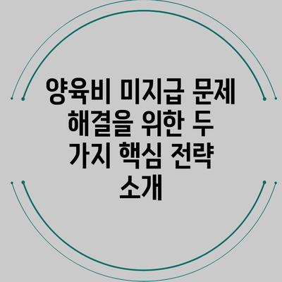 양육비 미지급 문제 해결을 위한 두 가지 핵심 전략 소개