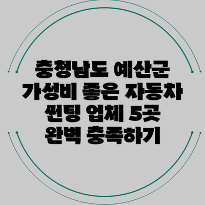 충청남도 예산군 가성비 좋은 자동차 썬팅 업체 5곳 완벽 충족하기